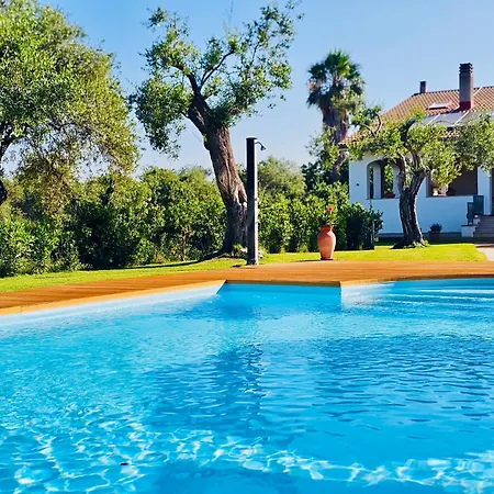 Clicksardegna Lucilla With Swimming Pool In Olive Groves *