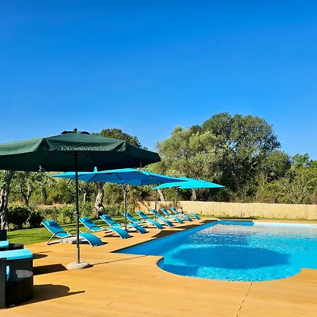 Clicksardegna Lucilla With Swimming Pool In Olive Groves