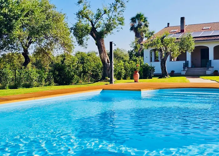 Clicksardegna Lucilla With Swimming Pool In Olive Groves *