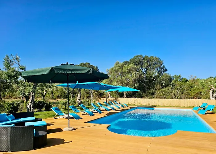Clicksardegna Lucilla With Swimming Pool In Olive Groves