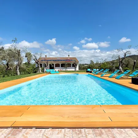 Willa Clicksardegna Lucilla With Swimming Pool In Olive Groves *