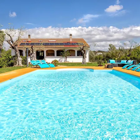 Clicksardegna Lucilla With Swimming Pool In Olive Groves Willa *