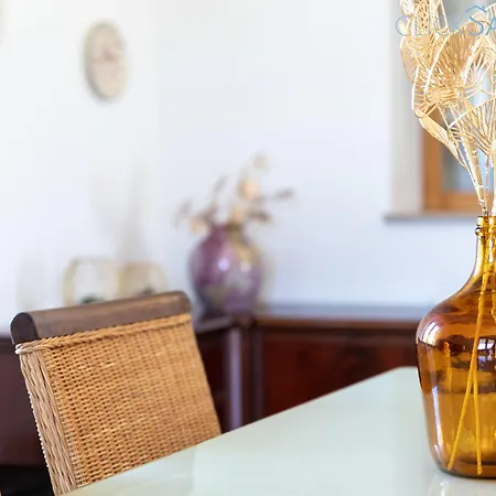 Villa Clicksardegna Lucilla With Swimming Pool In Olive Groves