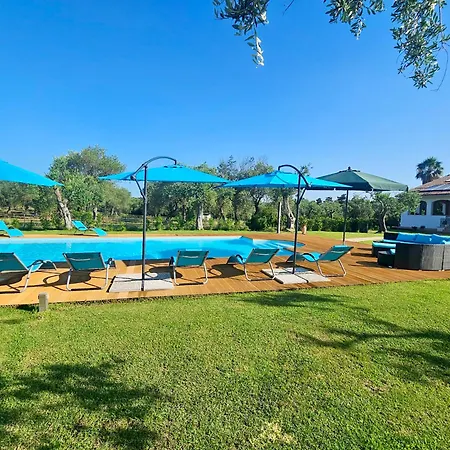 Willa Clicksardegna Lucilla With Swimming Pool In Olive Groves