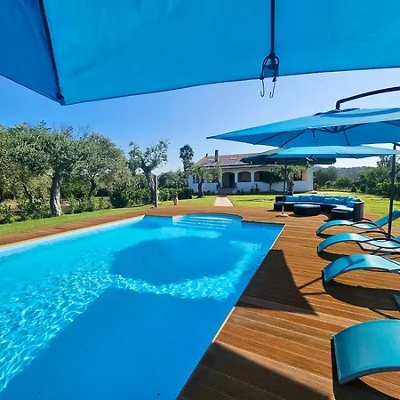 Clicksardegna Lucilla With Swimming Pool In Olive Groves Willa