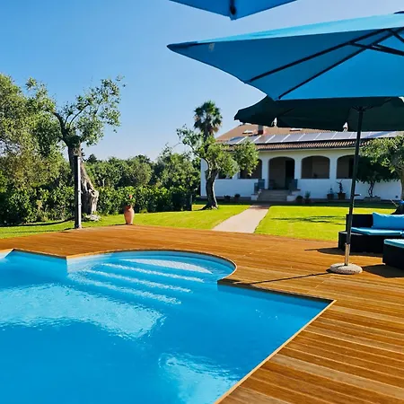 Clicksardegna Lucilla With Swimming Pool In Olive Groves Valverde (Sardinia)