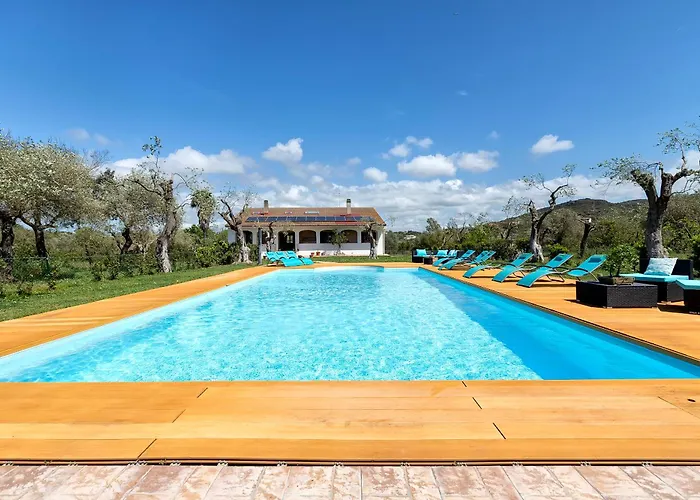 Villa Clicksardegna Lucilla With Swimming Pool In Olive Groves *