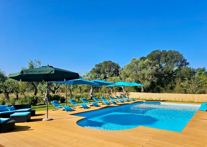 Clicksardegna Lucilla With Swimming Pool In Olive Groves * Alghero